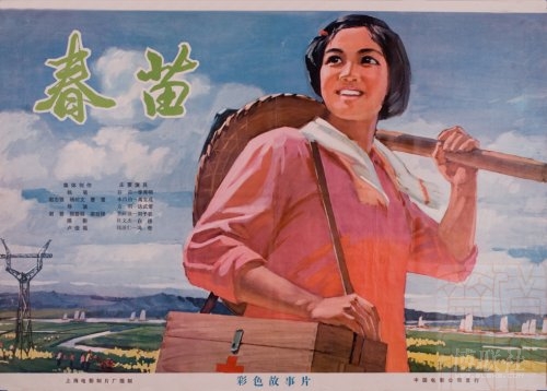東京福祉大学 Architecture Degree Certificate